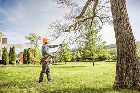 Reliable Grundy, VA Tree Removal and Landscaping Services Solutions